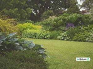 Read more about the article Heimische Pflanzen für Ihren Garten: Warum lokale Flora wichtig ist