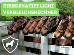 Read more about the article Pferdehaftpflichtrechner: Alles was Sie wissen müssen