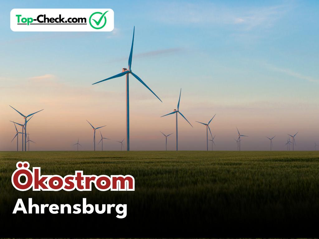 Ökostromtarif_Ahrensburg