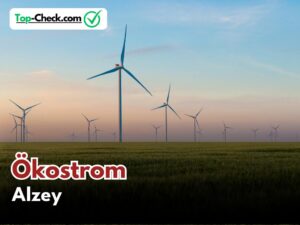 Ökostromtarife_Alzey