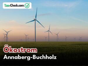 Ökostromtarife_Annaberg-Buchholz