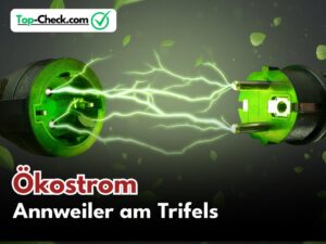 Ökostromtarife_Annweiler_am_Trifels