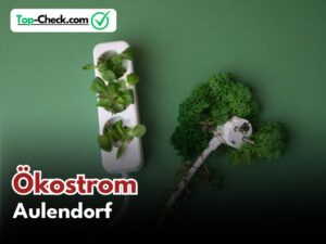 Ökostromtarife_Aulendorf