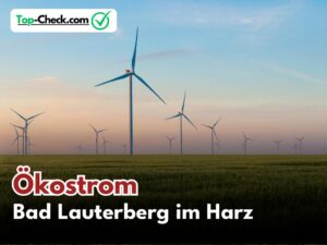 Ökostromtarife_Bad_Lauterberg