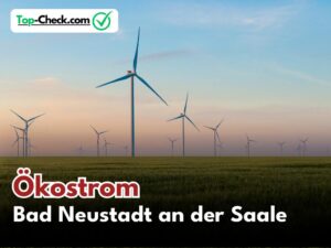 Ökostromtarife_Bad_Neustadt