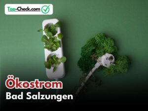 Ökostromtarife_Bad_Salzungen