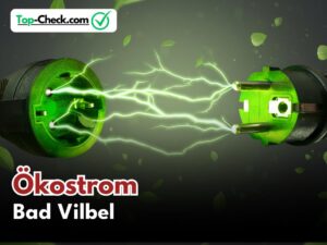 Ökostromtarife_Bad_Vilbel