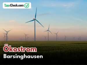 Ökostromtarife_Barsinghausen