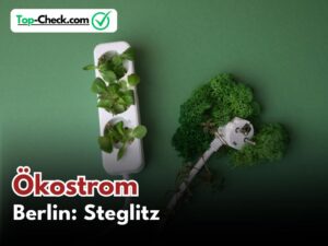 Ökostromtarife_Berlin-Steglitz
