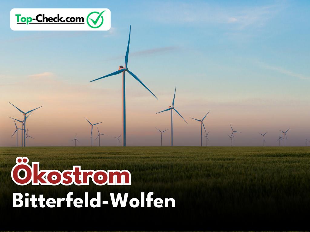 Ökostromtarife_Bitterfeld-Wolfen