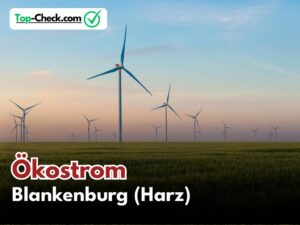 Ökostromtarife_Blankenburg_Harz