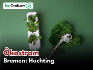 Ökostromtarife_Bremen-Huchting