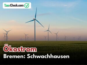 Ökostromtarife_Bremen-Schwachhausen