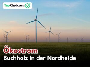 Ökostromtarife_Buchholz_in_der_Nordheide