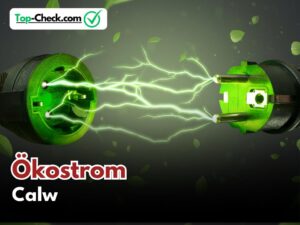 Ökostromtarife_Calw