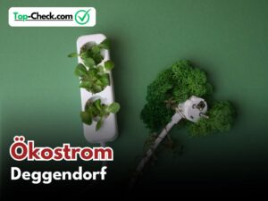 Ökostromtarife_Deggendorf