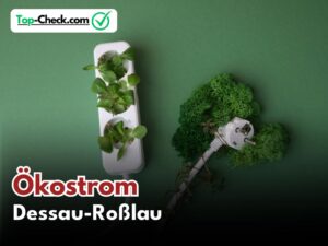 Ökostromtarif_Vergleich_Dessau-Roßlau