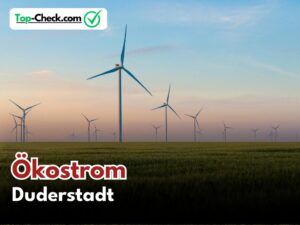 Ökostromtarife_Duderstadt