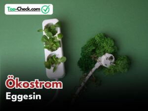 Ökostromtarif_Vergleich_Eggesin