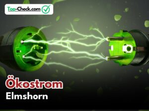 Ökostromtarife_Elmshorn