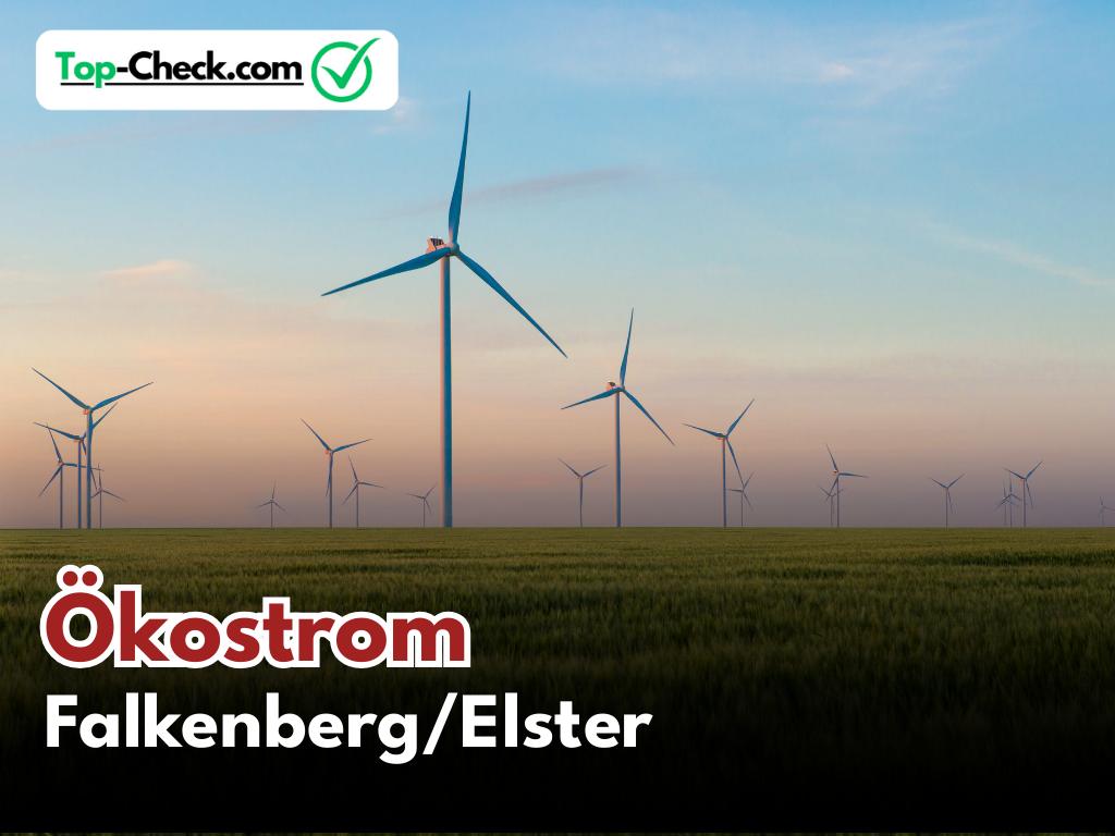 Ökostromtarif_Falkenberg/Elster