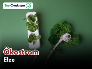 Ökostromtarife_Elze