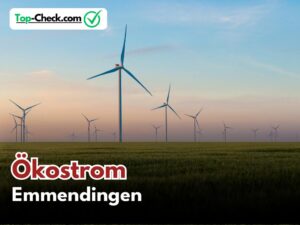 Ökostromtarife_Emmendingen