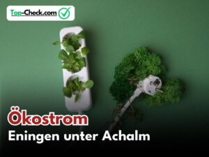 Ökostromtarife_Eningen_unter_Achalm