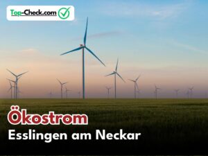 Ökostromtarife_Esslingen_am_Neckar