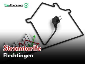 Stromtarifvergleich_Flechtingen