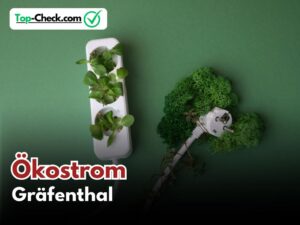 Ökostromtarife_Gräfenthal