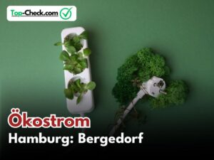 Ökostromtarife_Hamburg-Bergedorf