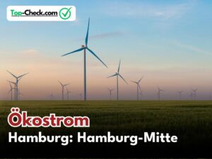 Ökostromtarif_Hamburg-Mitte