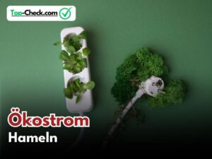 Ökostromtarife_Hameln