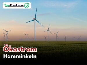 Ökostromtarif_Vergleich_Hamminkeln