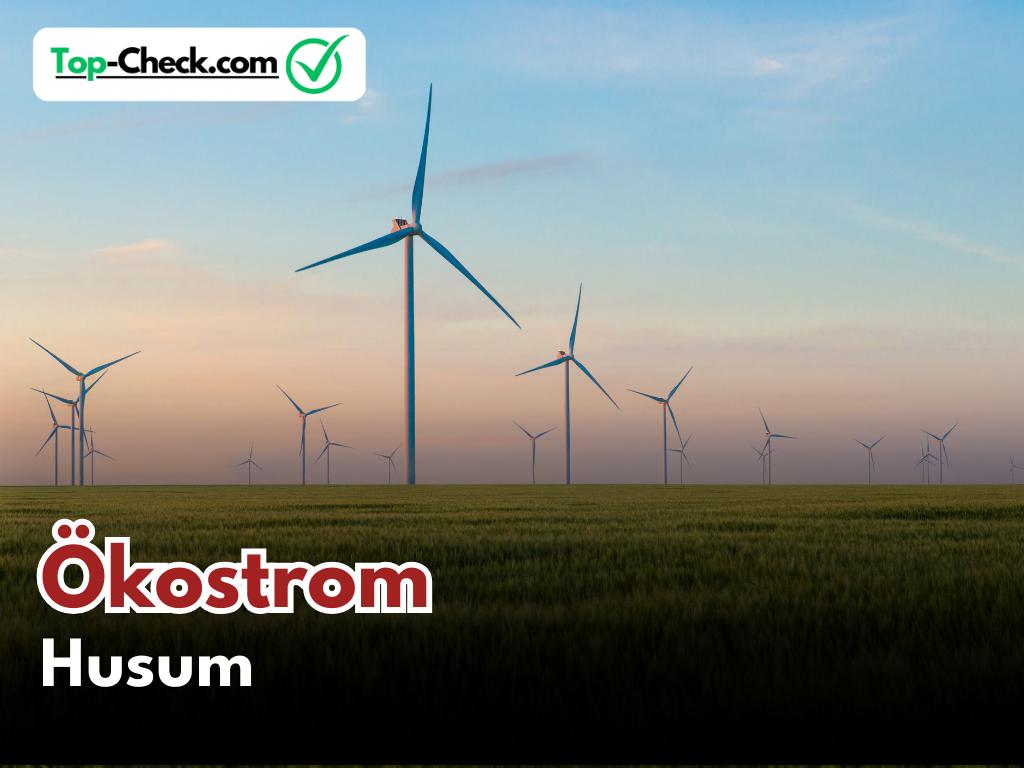 Ökostromtarife_Husum