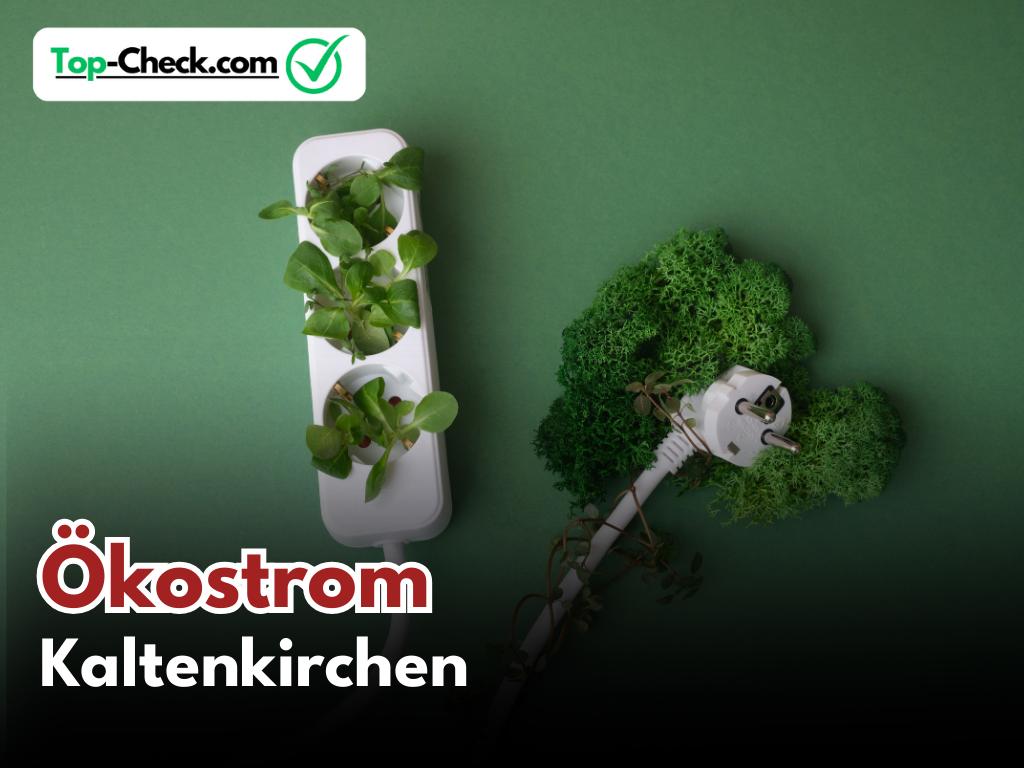 Ökostromtarife_Kaltenkirchen