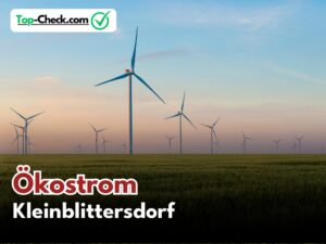 Ökostromtarife_Kleinblittersdorf