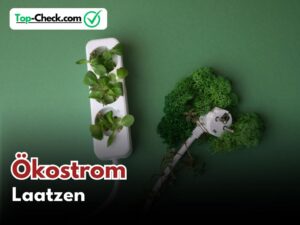 Ökostromtarif_Laatzen