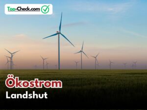 Ökostromtarife_Landshut