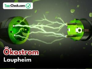 Ökostromtarife_Laupheim_vergleichen