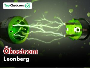 Ökostromtarife_Leonberg
