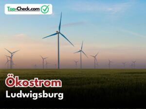 Ökostromtarife_Ludwigsburg
