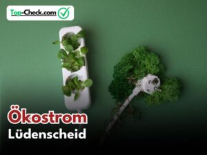 Ökostromtarife_Lüdenscheid