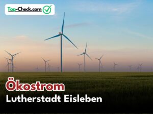 Ökostromtarif_Vergleich_Lutherstadt_Eisleben