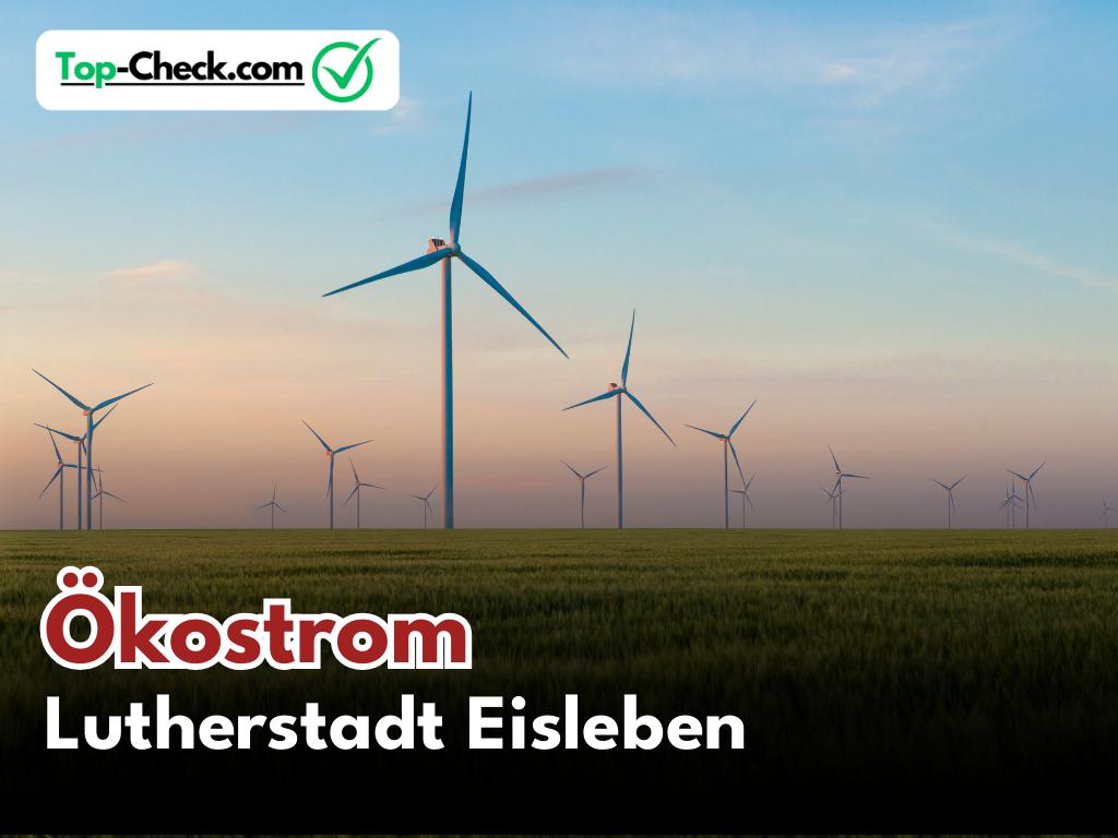 Ökostromtarif_Vergleich_Lutherstadt_Eisleben