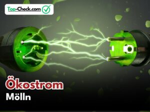 Ökostromtarif_Mölln