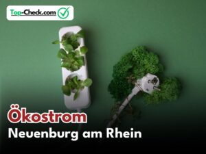 Ökostromtarife_Neuenburg_am_Rhein