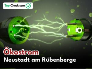 Ökostromtarife_Neustadt_am_Rübenberge