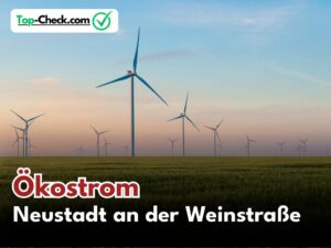 Ökostromtarif_Neustadt_an_der_Weinstraße